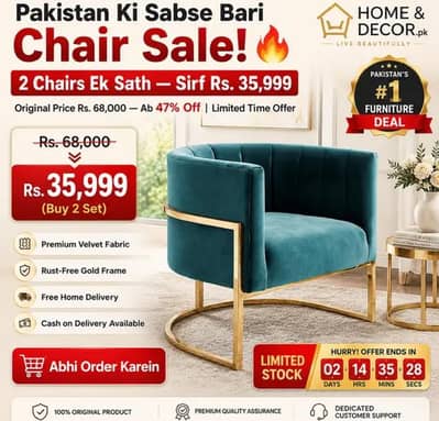 Chair/Luxury Chair/Velvet Living Room Chair/Modren Chair/Branded Chair