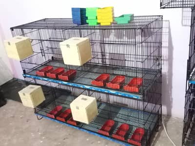 Umar and Master Cage for sale