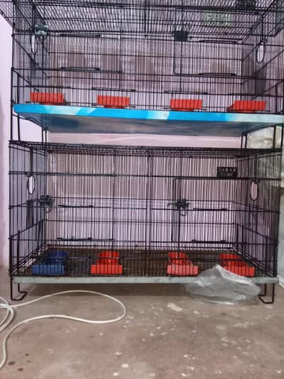 Umar and Master Cage for sale