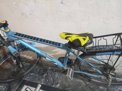 Dolphin River Mountain Bicycle, good condition, front suspension,