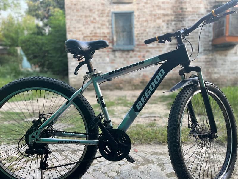 Mountain cycle 1