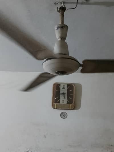 Royal celling fan 56 inch 03212051917