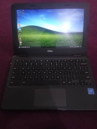 Chromebook 3100