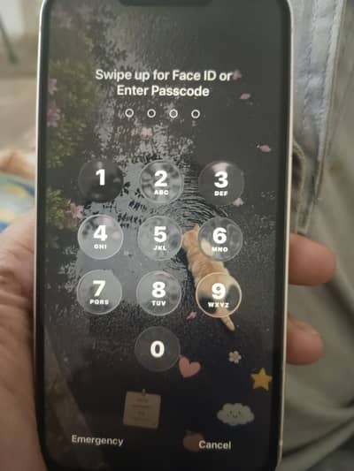 Apple iPhone 13 icloud locked bypass needed