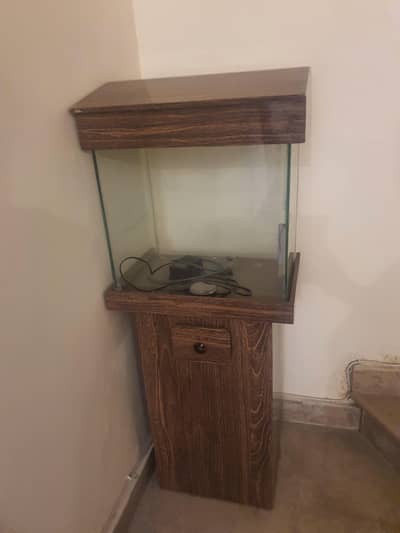 Fish Aquarium
