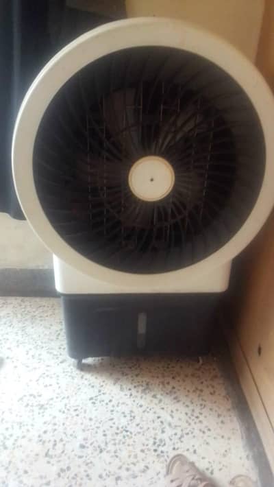 Air cooler