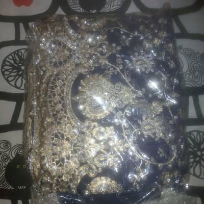 Brand New Fancy Net Suit - Clearance Sale Offer"