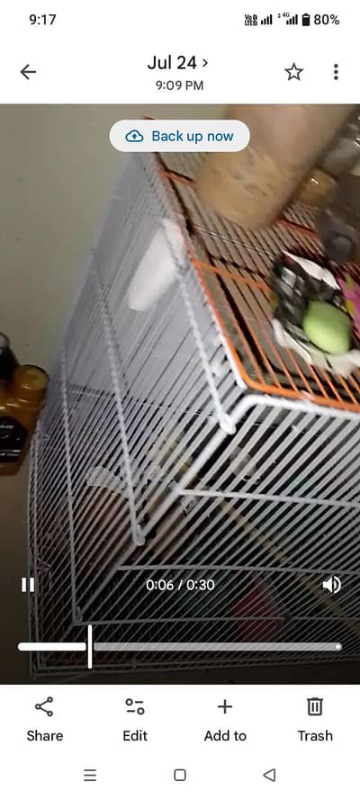 Birds cages