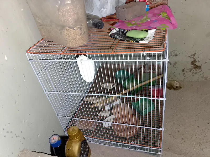 Birds cages — photo 2