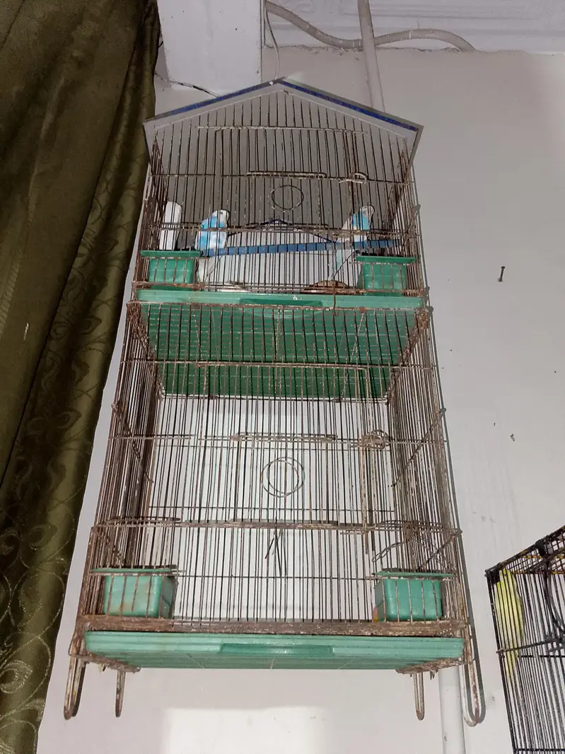 Birds cages — photo 5