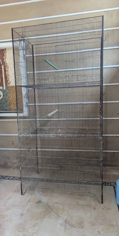 parrot cage