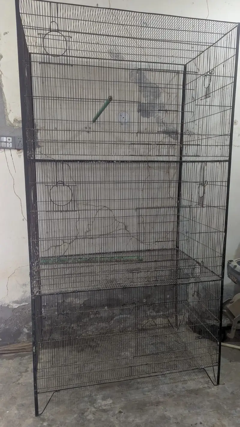 parrot cage — photo 3
