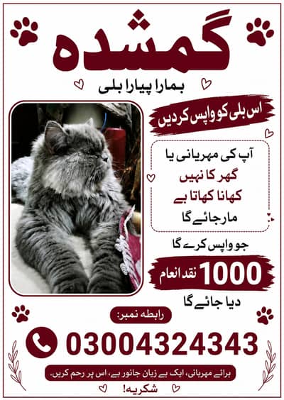Plz wapis kr do jis k pas ha cash reward dia jaya ga