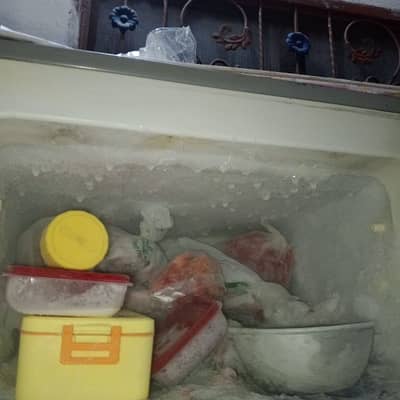 frige sell offer