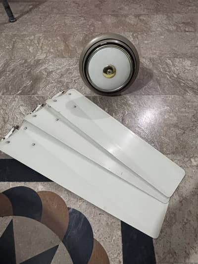Ceiling fans for sale