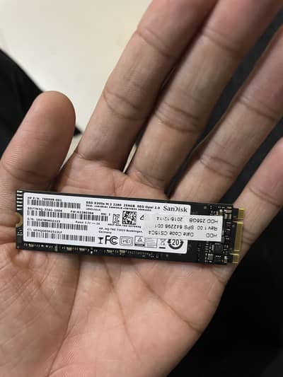 SanDisk 256gb SSD M. 2 2280 X300s
