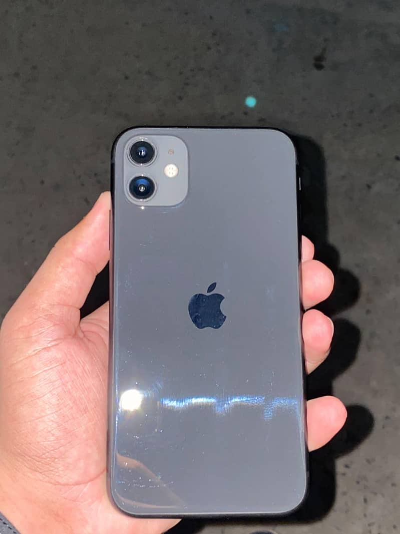 iPhone 11 0