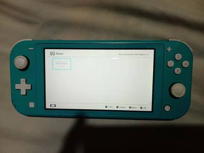 Nintendo switch lite