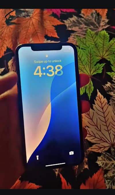 iphone xs