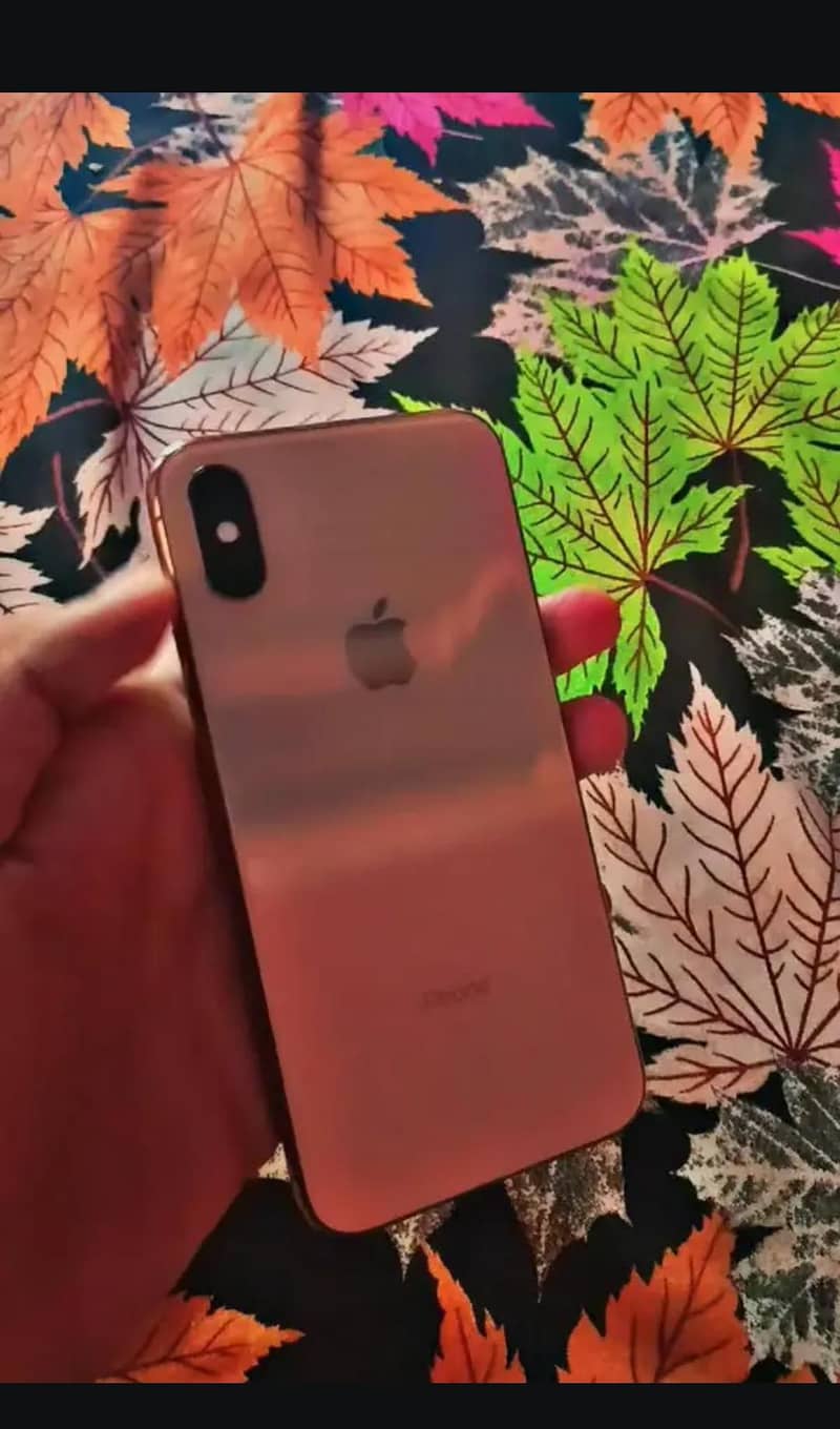 iphone xs 1