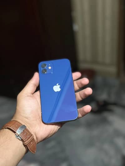 Iphone 12 dual pta.