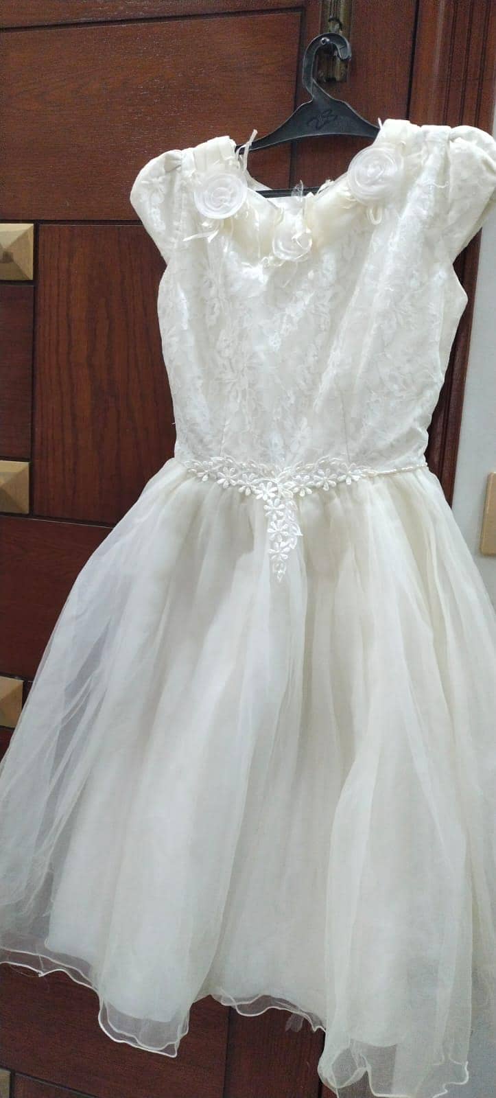 Luxury Dresses 5