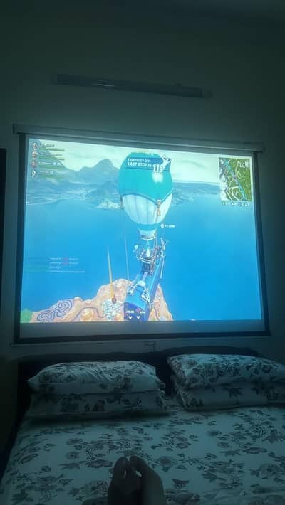100 inch projector screen