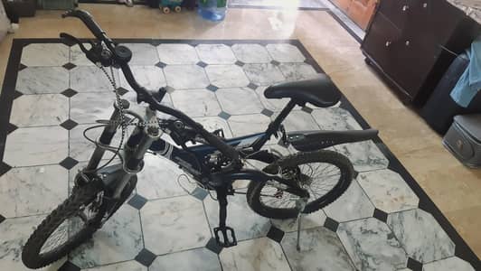 New Euro Chicago Mountain Bicycle