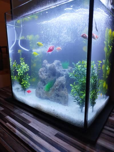 Aquarium Tank Imported Glass