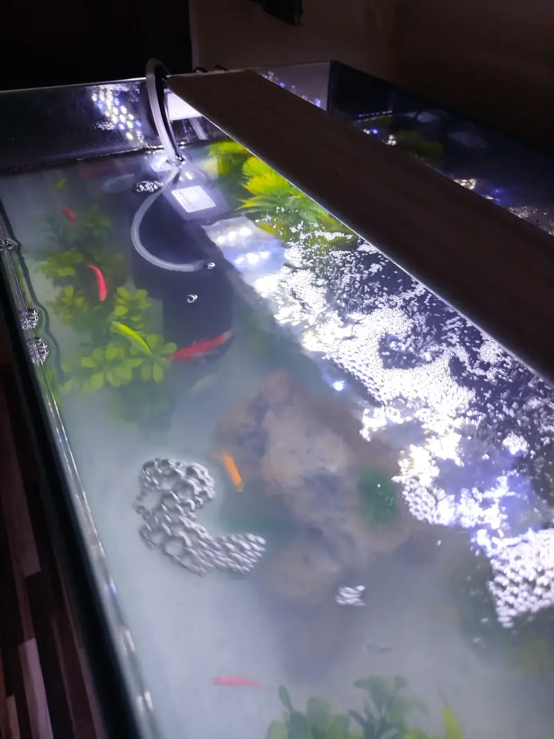 Aquarium Tank Imported Glass — photo 2