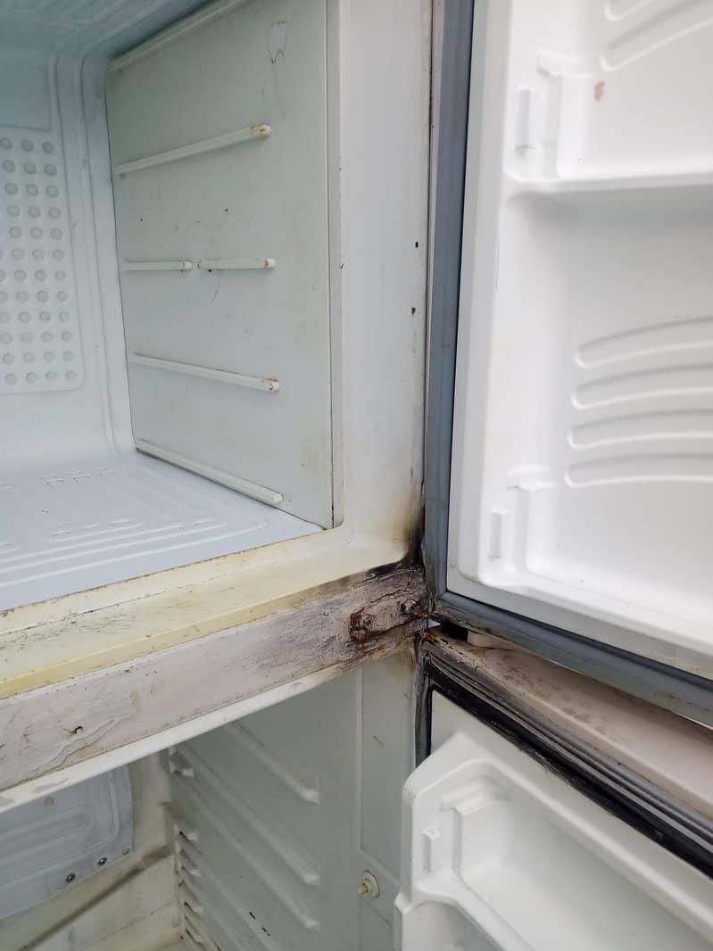 Fridge 0