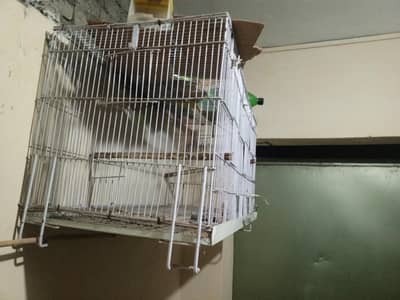 birds cage