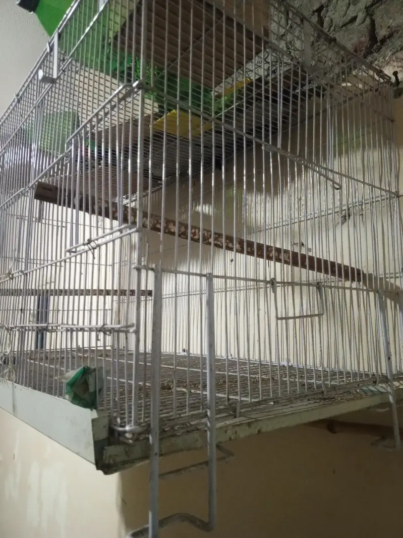 birds cage — photo 2