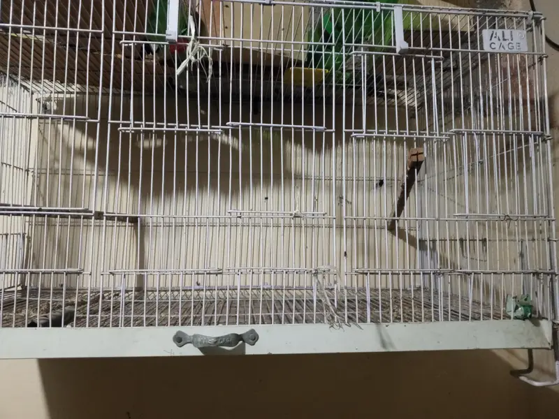 birds cage — photo 3