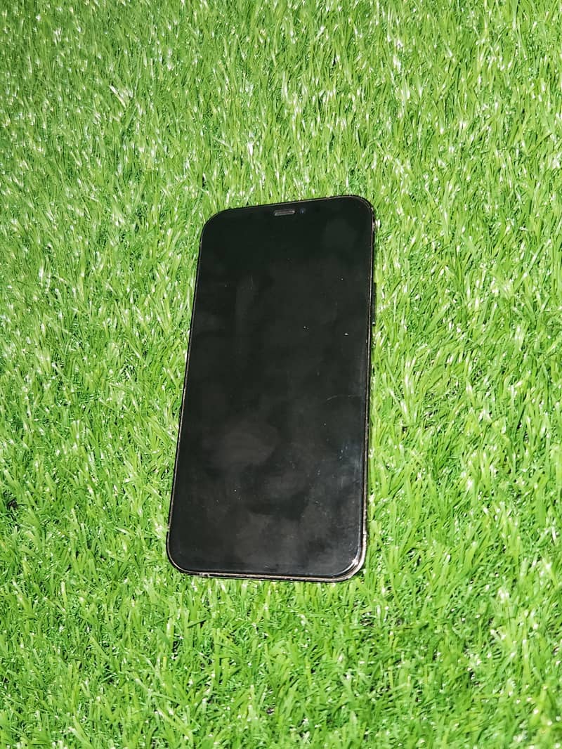 Apple iPhone 12 Pro 1
