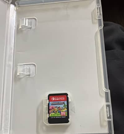 Nintendo switch 2 mimecraft