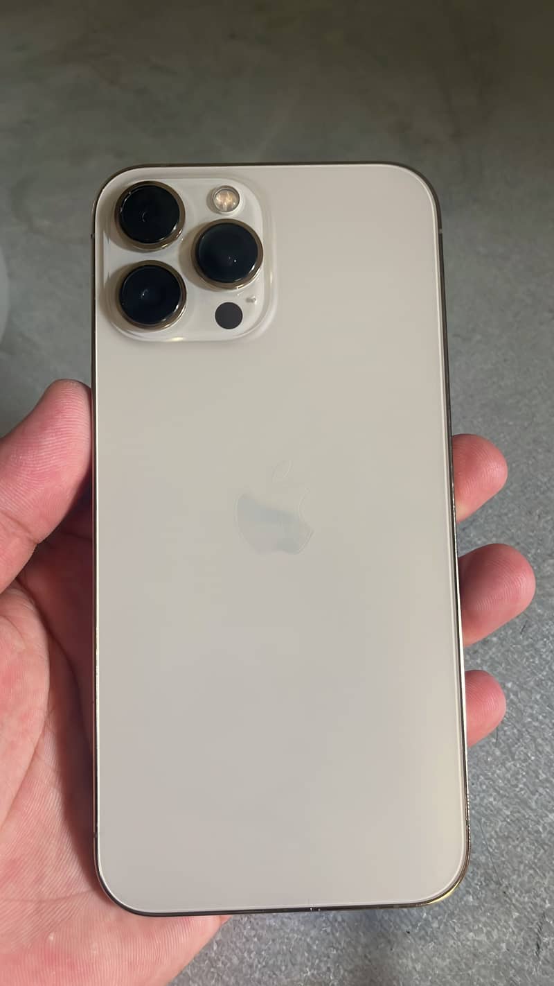 iPhone 13 pro max 1