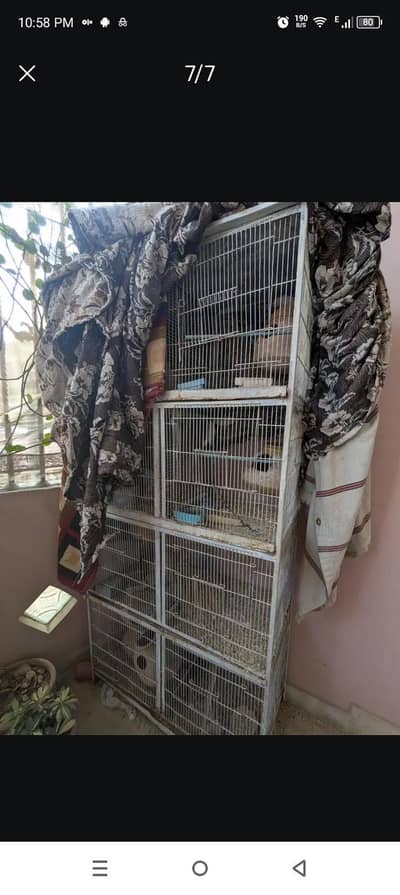 Cage 8 portion