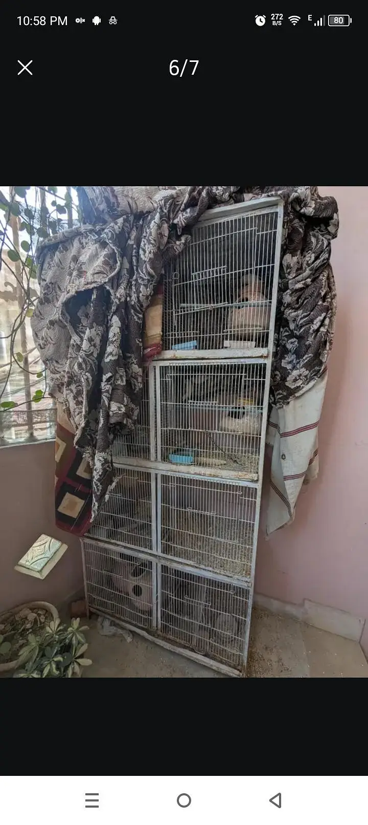 Cage 8 portion — photo 2