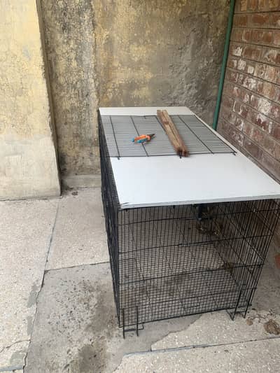 2by4 partition cage