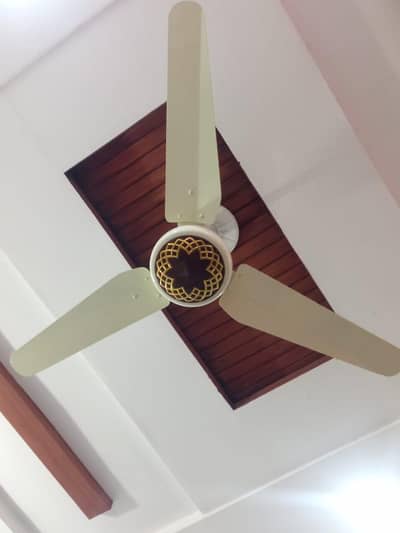 fancy copper ceiling fan  like new