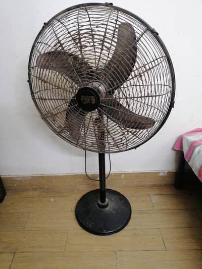 Essa Fan
