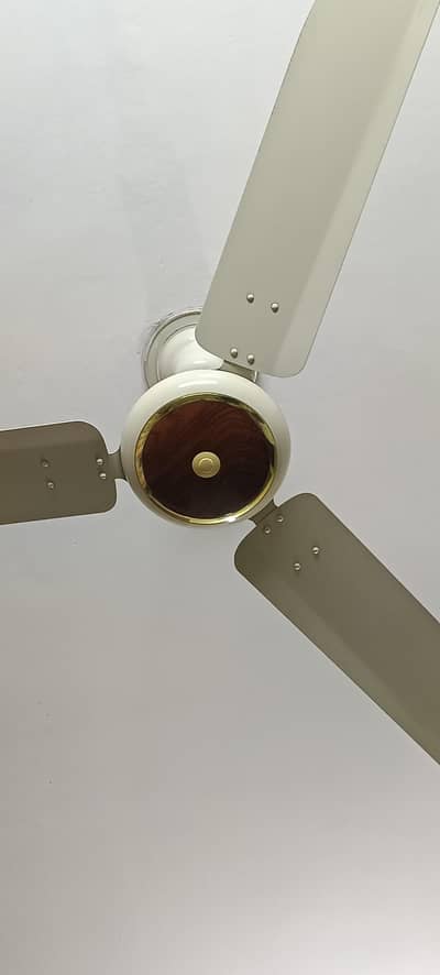 Breeze ceiling fan