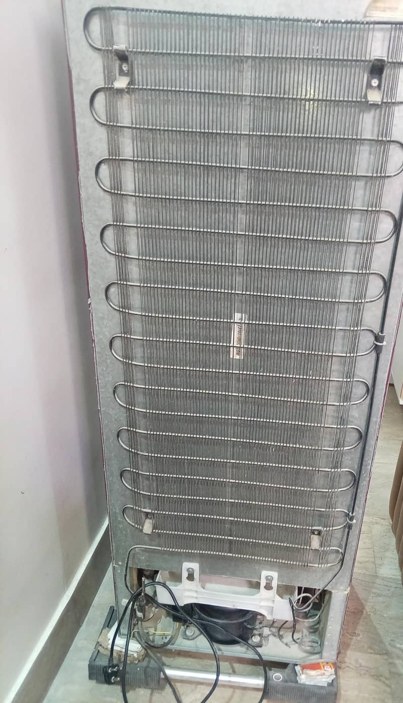 Fridge 5