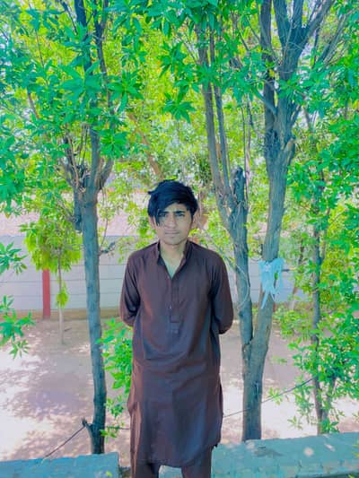 Ali haider