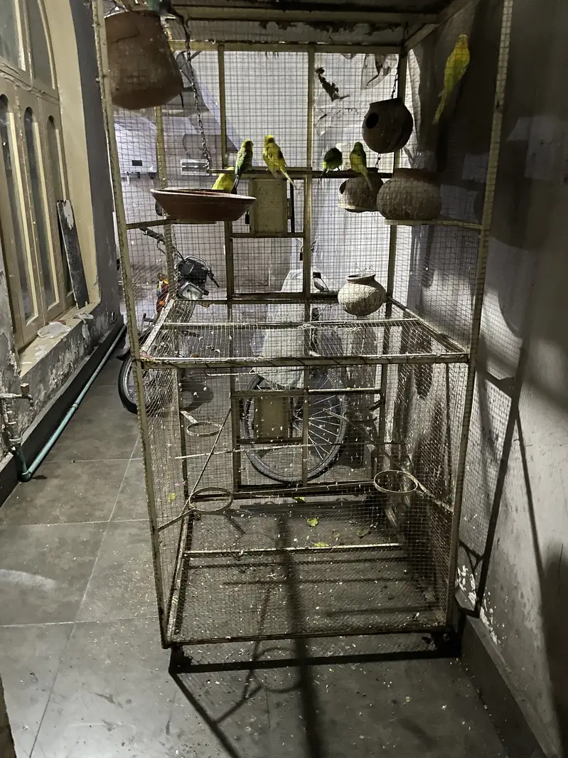 Iron cage — photo 2