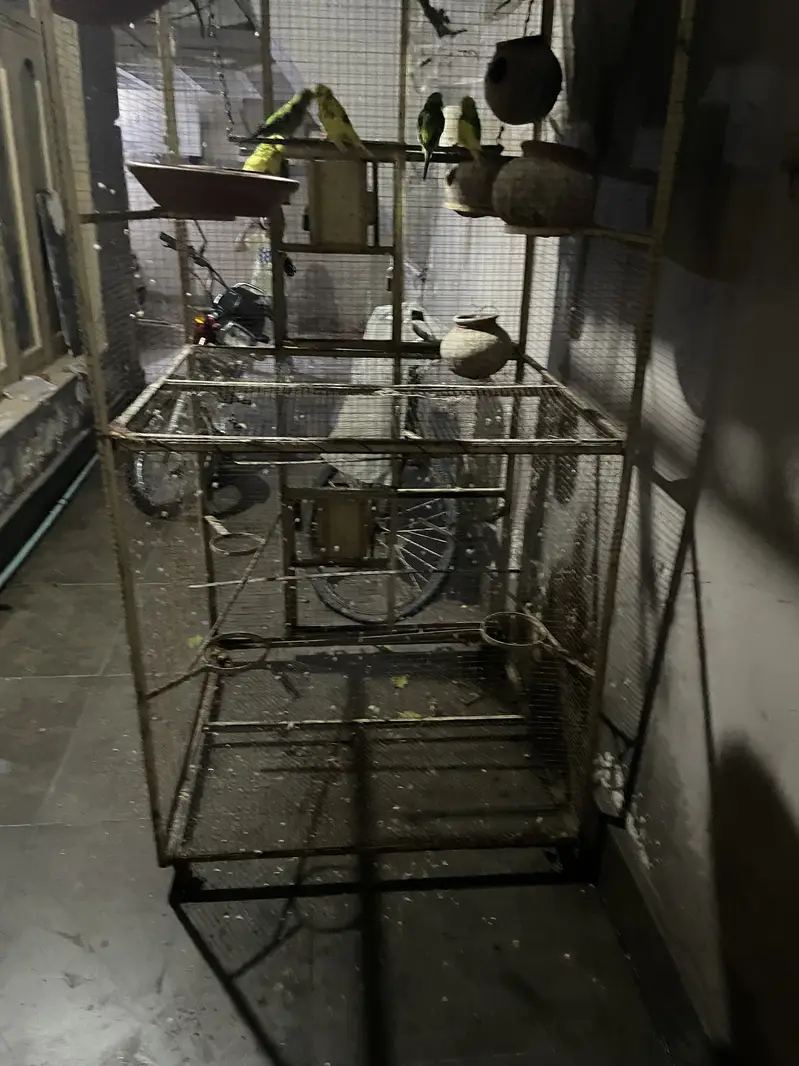 Iron cage — photo 3