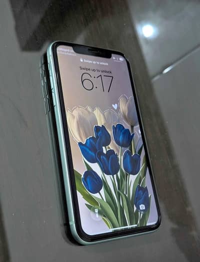 Apple iPhone 11