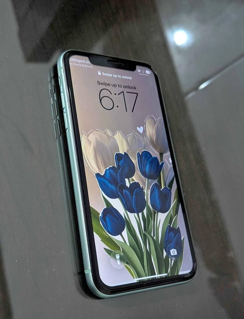 Apple iPhone 11 0