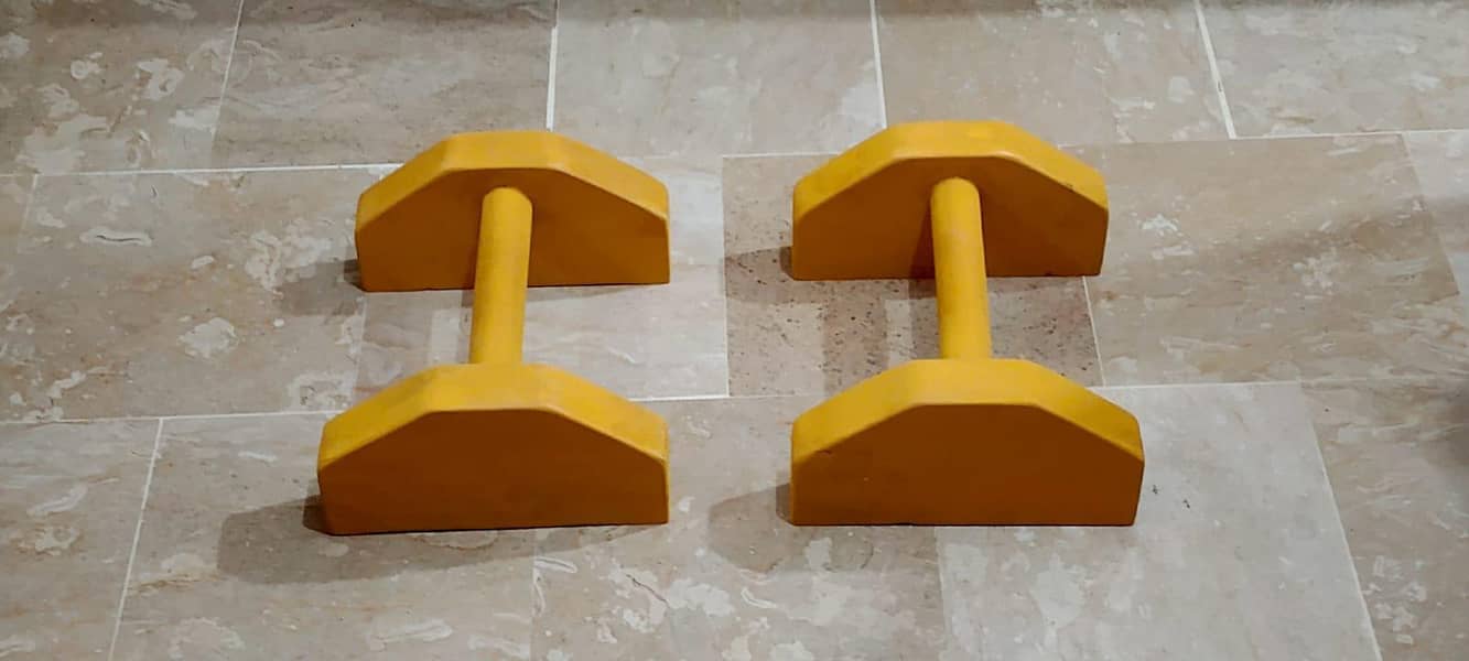 Parallettes 1